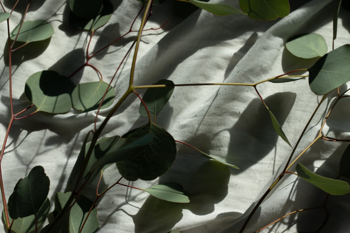 Green Leaves Scattered on Green Cloth